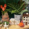 Table Decor^RAZ 17" Potted Fern