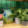 Focal Points^RAZ 17" Potted Fern