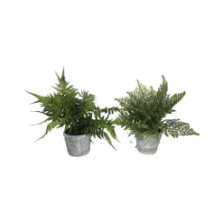 Faux Plants^RAZ 17
