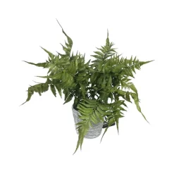 Faux Plants^RAZ 17