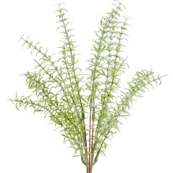 Spring^CRI Asparagus Fern Bundle