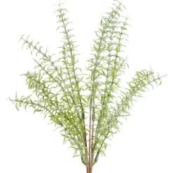 Floral^CRI Asparagus Fern Bundle