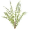 Sprays^CRI Asparagus Fern Bundle
