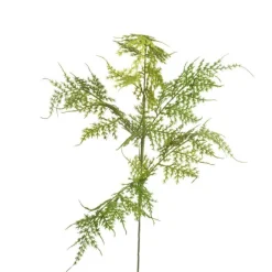 Floral Decor^CRI Asparagus Fern Spray