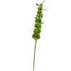 Floral^Winward Bells Of Ireland