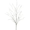 Floral^Liberty Floral Birch Spray