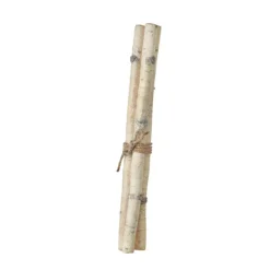 Figurines^RAZ Birch Stick Bundle, 26