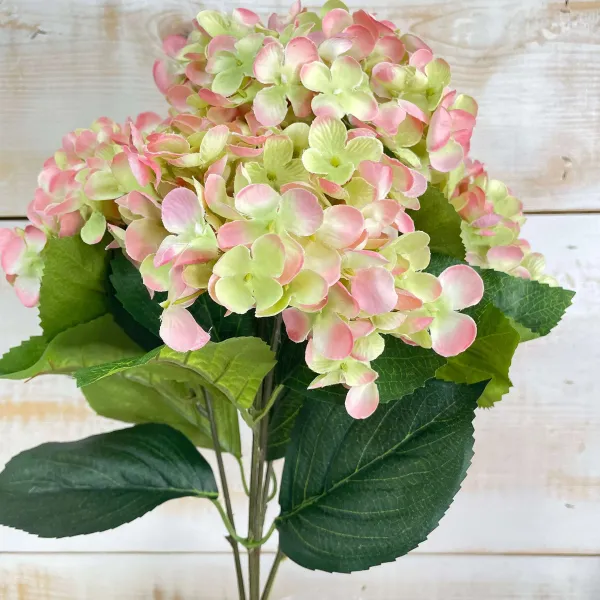 Floral^CRI Blush And Green Hydrangea Bush