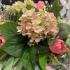 Spring^CRI Blush And Green Hydrangea Bush
