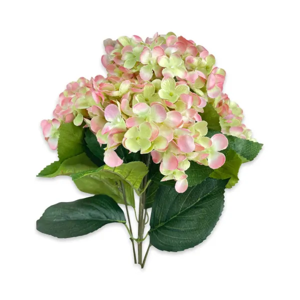 Sprays^CRI Blush And Green Hydrangea Bush