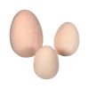 Focal Points^180 Degrees Blush Flocked Eggs