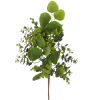 Spring^RAZ Boxwood And Eucalyptus Pick