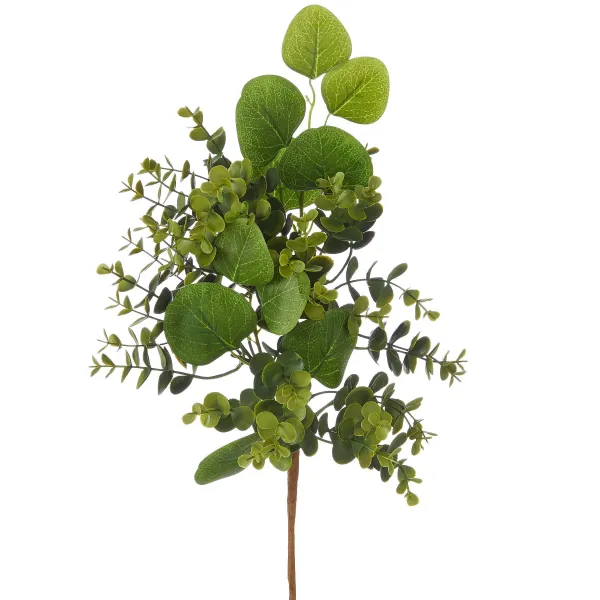 Spring^RAZ Boxwood And Eucalyptus Pick