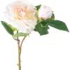 Spring Picks^CRI Cabbage Rose Pick, Cream