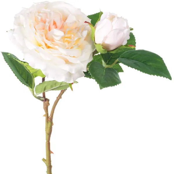 Spring Picks^CRI Cabbage Rose Pick, Cream
