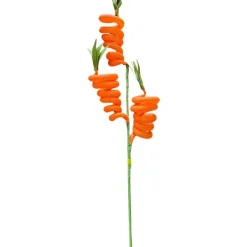 Floral^Liberty Floral Carrot Spring Spray
