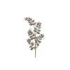 Sprays^Regency Champagne Fern Spray