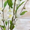 Spring Sprays^CRI Cherry Blossom, Cream