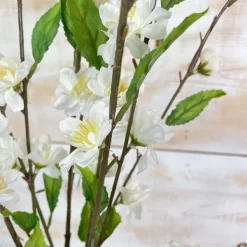 Spring Sprays^CRI Cherry Blossom, Cream