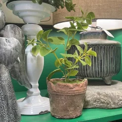 Floral Decor^Regency Clay Pot With Herbs