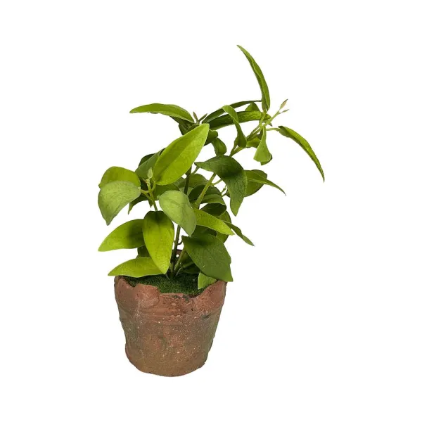 Table Decor^Regency Clay Pot With Herbs
