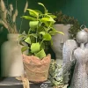 Focal Points^Regency Clay Pot With Herbs