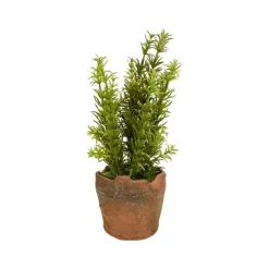 Spring Focal Points^Regency Clay Pot With Herbs