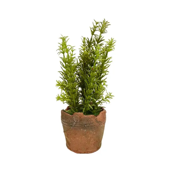 Spring Focal Points^Regency Clay Pot With Herbs