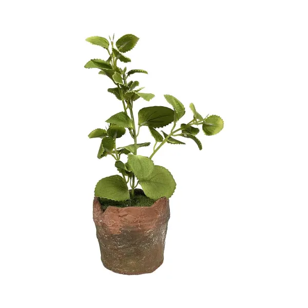 Spring Focal Points^Regency Clay Pot With Herbs