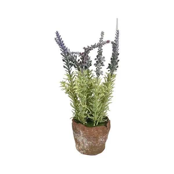 Spring Focal Points^Regency Clay Pot With Herbs