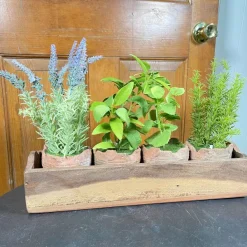 Spring Focal Points^Regency Clay Pot With Herbs