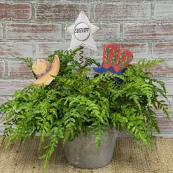Pot Stakes^The Round Top Collection Cowboy Trio Stake