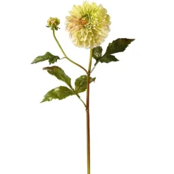Floral^Winward Dahlia Stem, Light Green