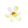 Spring^The Round Top Collection Daisy Magnet