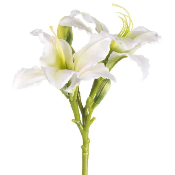Sprays^CRI Daylily Spray