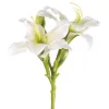 Spring^CRI Daylily Spray