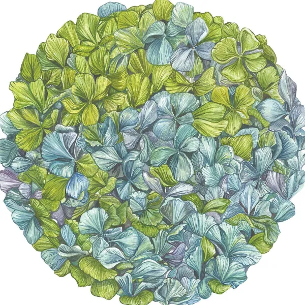 Kitchen & Dining^Hester & Cook Die Cut Hydrangea Placemat Sheets