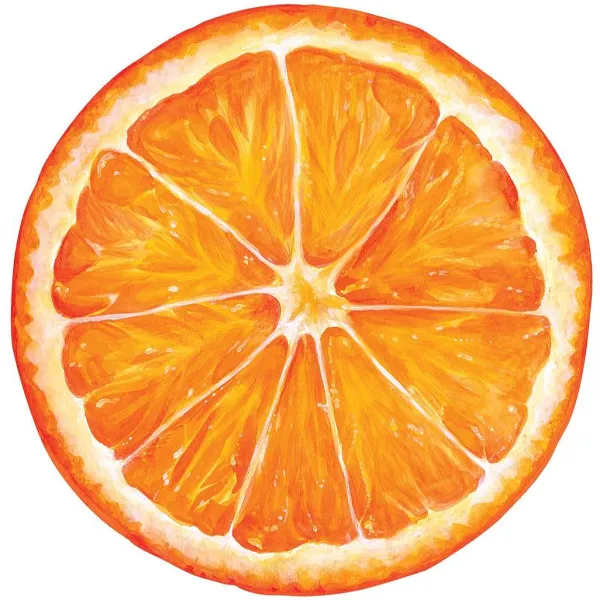 Spring^Hester & Cook Die Cut Orange Slice Placemat Sheets