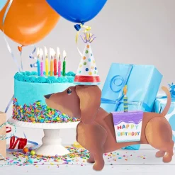 Table Decor^The Round Top Collection Dress Up Pet, Birthday Costume