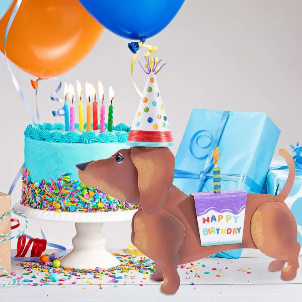 Celebrate Birthday^The Round Top Collection Dress Up Pet, Birthday Costume