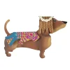 Table Decor^The Round Top Collection Dress Up Pet, Flower Child Costume