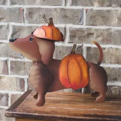 Table Decor^The Round Top Collection Dress Up Pet, Pumpkin Costume