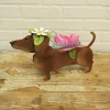 Table Decor^The Round Top Collection Dress Up Pet, Spring Costume