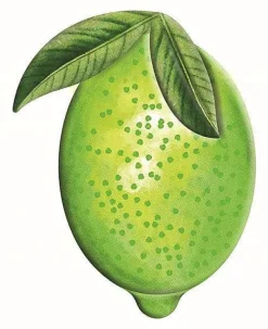 Focal Points^Craig Bachman Embossed Watercolor Lime