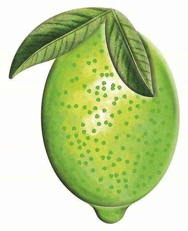 Focal Points^Craig Bachman Embossed Watercolor Lime