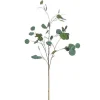 Spring^RAZ Eucalyptus Airy Spray