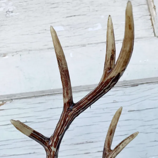 Sprays^Liberty Floral Faux Antler Spray
