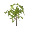 Floral Decor^Regency Feather Fern Plant