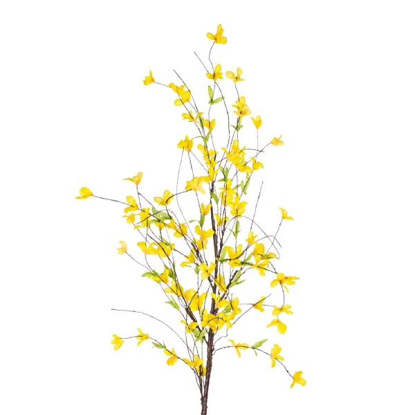 Sprays^CRI Forsythia Spray