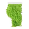 Ribbon^Craig Bachman Furry Lime Ribbon, 4" X 10Yd